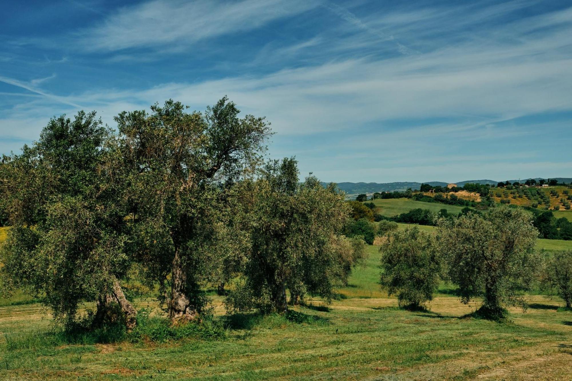 8380 Agriturismo Il Saragiolo Manciano Extérieur photo