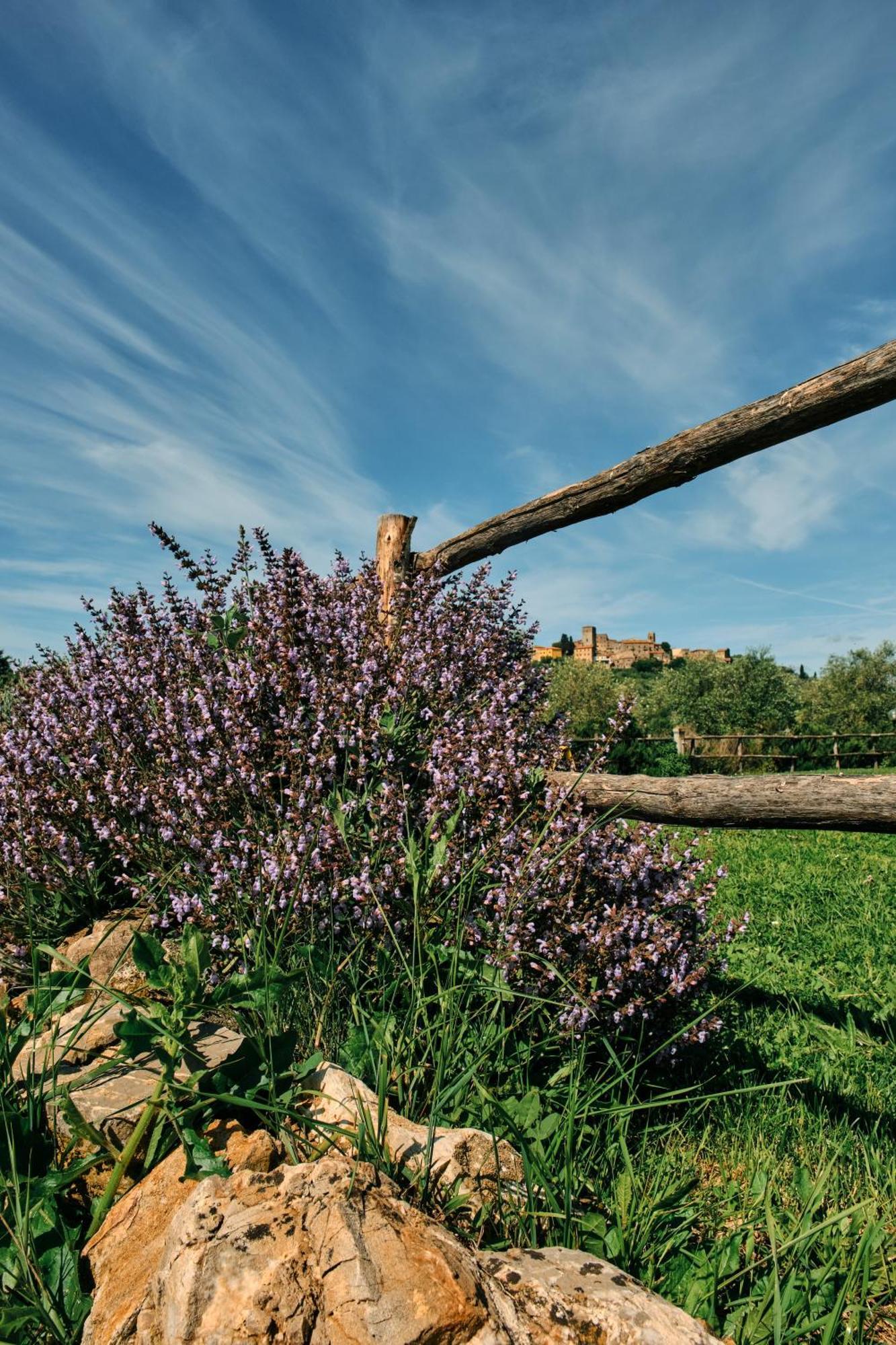 8380 Agriturismo Il Saragiolo Manciano Extérieur photo