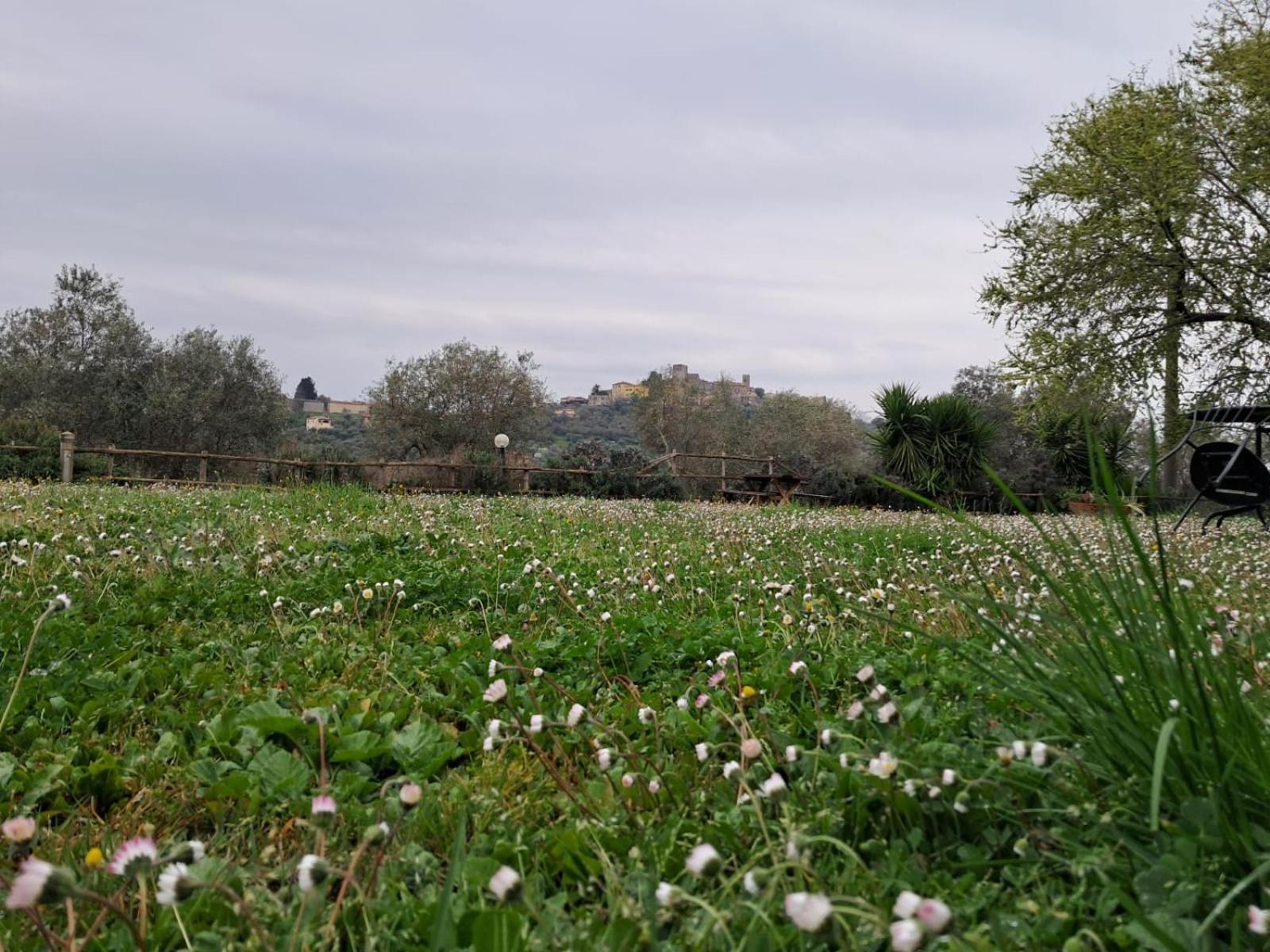 8380 Agriturismo Il Saragiolo Manciano Extérieur photo