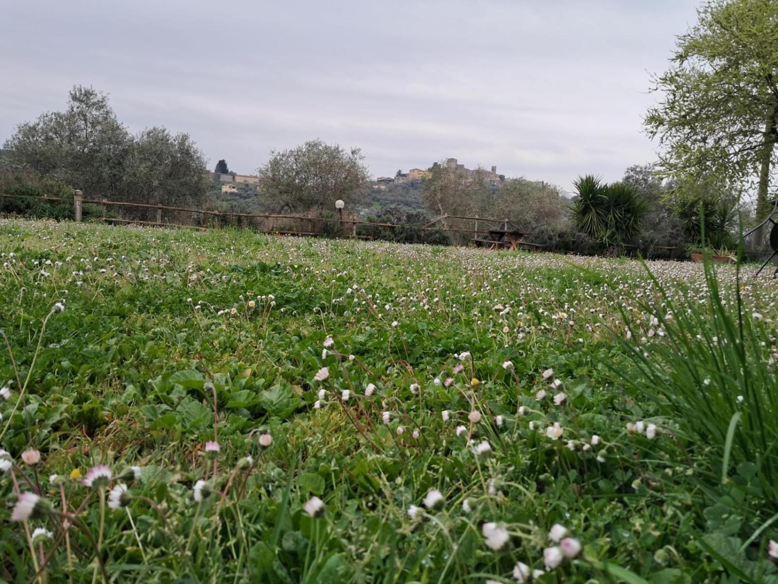8380 Agriturismo Il Saragiolo Manciano Extérieur photo